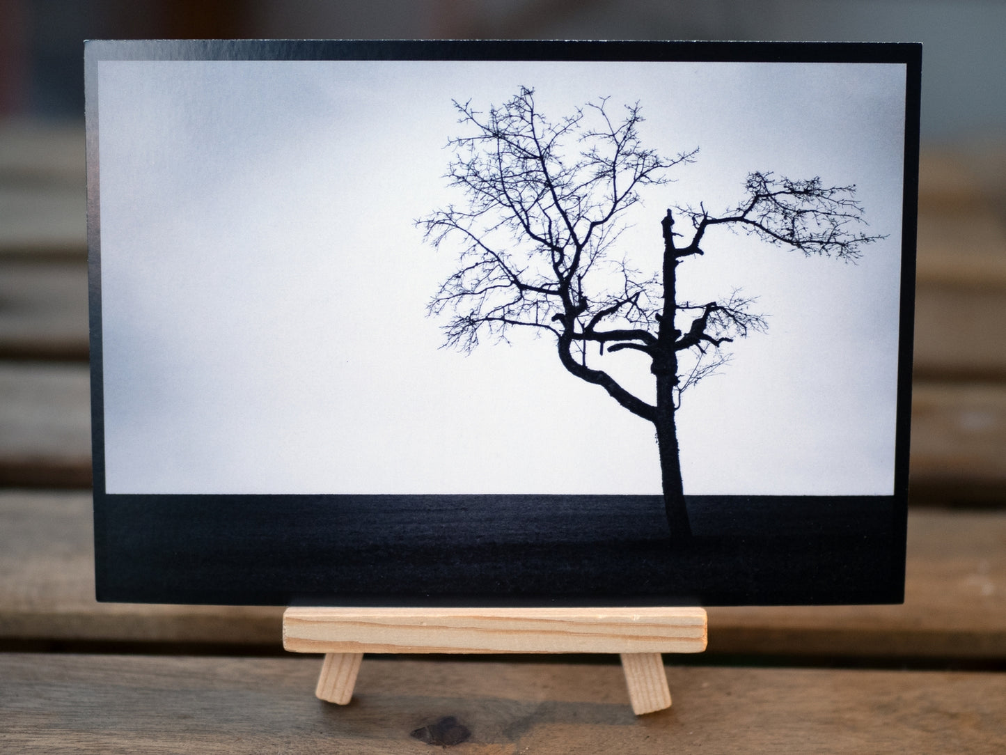 Kirschbaum - Ansichtskarte (12x17,5cm)