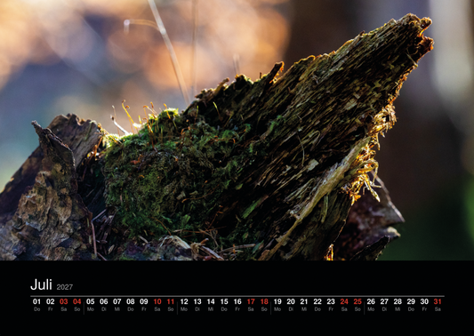 Naturkalender 2027 von Miro Lange Art – Monatsseite Juli
