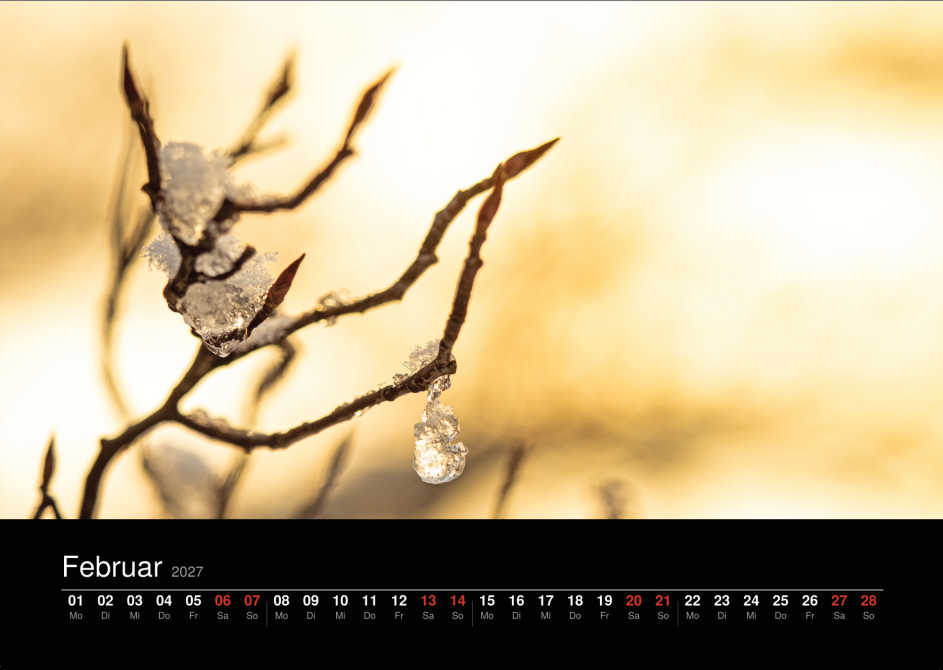 Naturkalender 2027 von Miro Lange Art – Monatsseite Februar
